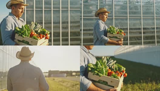 一个戴着帽子的男人，背着装满新鲜蔬菜的板条箱高清在线视频素材下载