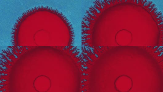 水晶发芽。蓝色背景上的抽象红点。抽象的垃圾艺术，墨水颜料扩散爆炸的背景。高清在线视频素材下载
