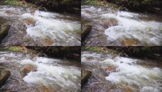 山区森林河流中湍急的水流高清在线视频素材下载