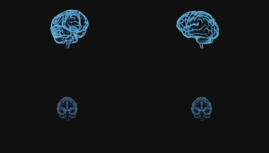 人类大脑的模型。三维渲染高清在线视频素材下载