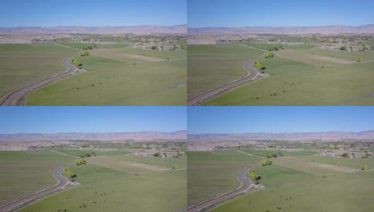 无人机在美丽牧场的灌溉渠后推进拍摄，下面的田野里有奶牛高清在线视频素材下载