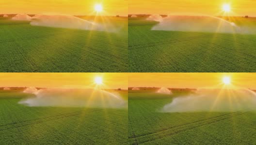 鸟瞰图灌溉系统在日落灌溉农田高清在线视频素材下载