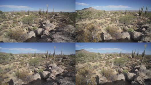下辖沙漠，墨西哥卡塔维那沙漠高清在线视频素材下载