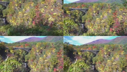 摇摄:日本大崎鸣子乔治宫城桥高清在线视频素材下载