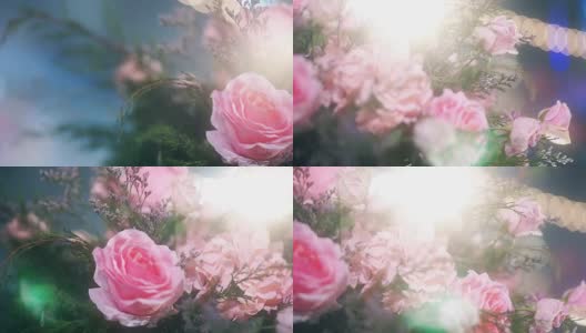 一束浪漫的粉红色玫瑰花。高清在线视频素材下载