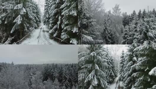 冬天森林的上升空中高清在线视频素材下载