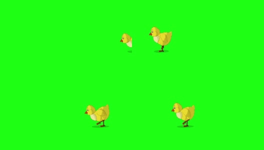 黄色小鸡走路和pecma键高清在线视频素材下载