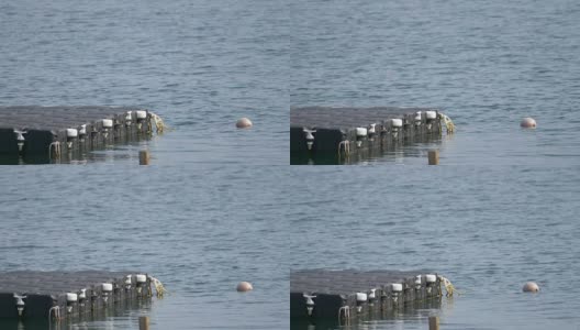 靠近海上的码头高清在线视频素材下载