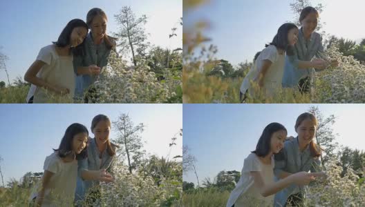 慢动作的快乐亚洲女孩看花与她的母亲在花田与阳光高清在线视频素材下载