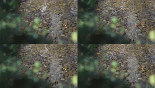 中国园林中浅卵石池的流水运动高清在线视频素材下载