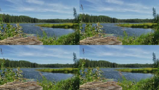 在鸭山省立公园的吻基湖上刮风的夏日高清在线视频素材下载