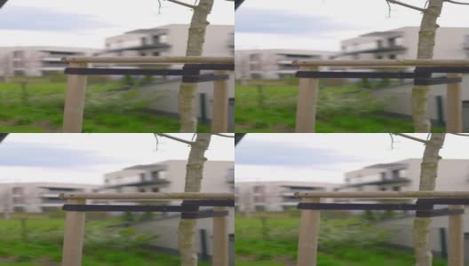 一座现代建筑前的树苗垂直视频4K慢镜头60fps高清在线视频素材下载