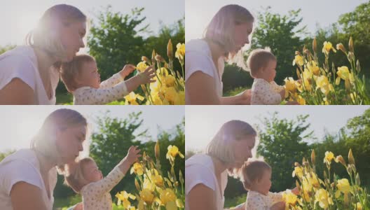 一位年轻的母亲在花园里抚摸着黄色的鸢尾花，微笑着拥抱着她的小女儿。缓慢的运动。背景是夏日公园。儿童节快乐高清在线视频素材下载