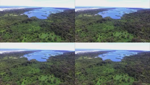 在巴拿马奎布拉达红树林的鸟瞰图高清在线视频素材下载