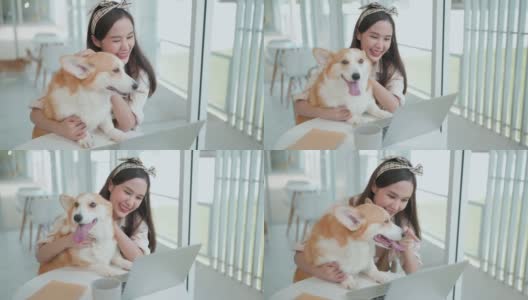 有吸引力的亚洲年轻女子狗主人看着笔记本电脑视频与微笑的柯基狗小狗在狗咖啡馆愉快和幸福快乐，动物情人的概念高清在线视频素材下载