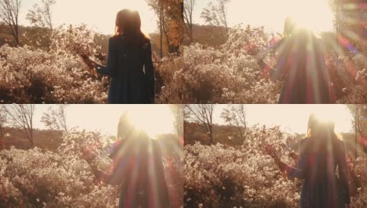 女孩奔跑在秋天的田野，穿过松软的花朵高清在线视频素材下载