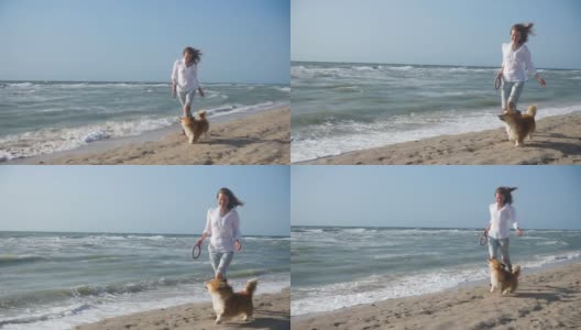 年轻的微笑女孩和柯基狗跑在海边高清在线视频素材下载