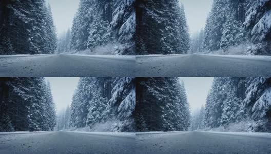 在大雪中穿越森林路高清在线视频素材下载