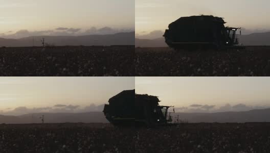 棉花收割机在收获棉花时的日落高清在线视频素材下载