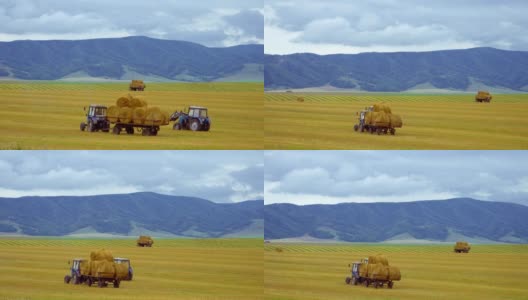 收获农业机械。拖拉机在麦田里收割完一捆捆干草后，把它们装到机器上。高清在线视频素材下载