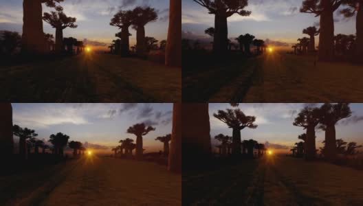游客们走过猴面包树的非洲小巷，日落时鸟儿的剪影高清在线视频素材下载