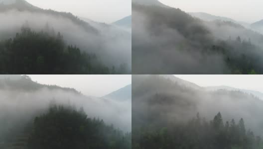空中拍摄的雾在森林山坡桂林，中国高清在线视频素材下载