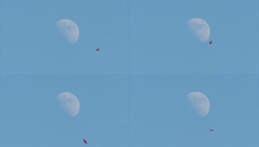 夏日午后放飞蓝天和大半月的风筝，就像在月亮上着陆，童年自由玩具放松概念，4k实时画面。高清在线视频素材下载