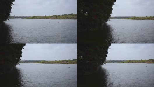 在季风季节，拉杰果特的尼亚里水坝充满了水。绿树成荫，湖水满湖高清在线视频素材下载