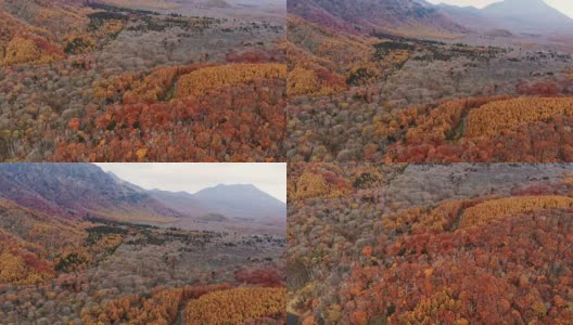 鸟瞰图与倾斜的秋季山，长野，日本。高清在线视频素材下载
