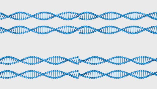 两个蓝色的DNA分子在白色背景上旋转。三维渲染高清在线视频素材下载