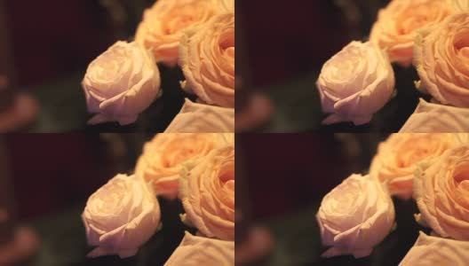 婚礼上的白玫瑰花束。夹。一个白色玫瑰的花瓣特写。特写新鲜的白色玫瑰与绿色茎和叶高清在线视频素材下载