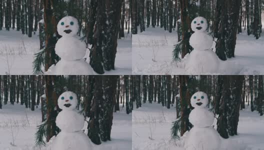 松树林里的雪人站在户外高清在线视频素材下载