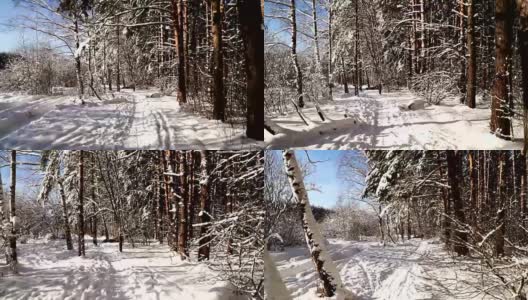 在白雪皑皑的森林里沿着小路走。稳定的框架pov射击。阳光明媚的一天。高清在线视频素材下载