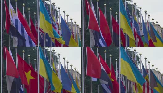 峰会参与者、战略伙伴、外交关系的国旗高清在线视频素材下载