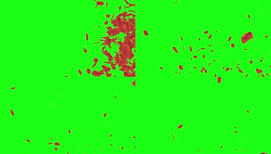 爆炸性的秋叶飘落，绿屏色度键可编辑背景高清在线视频素材下载