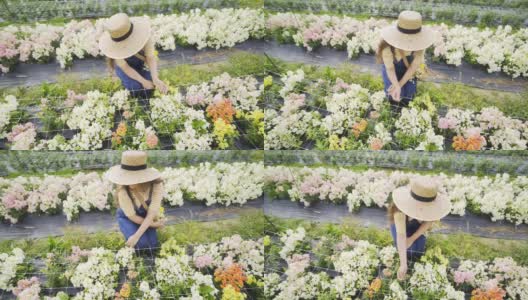 戴草帽的女人微笑着坐在温室里的鲜花上高清在线视频素材下载