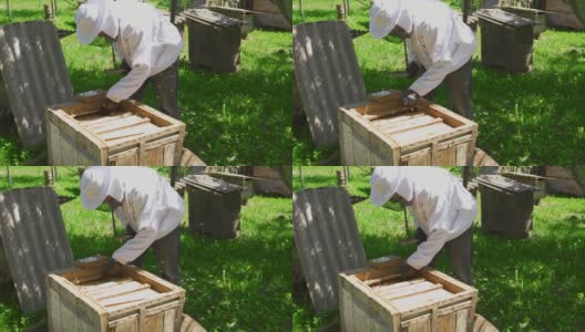 穿着防护服的养蜂人正在处理蜂箱。高清在线视频素材下载