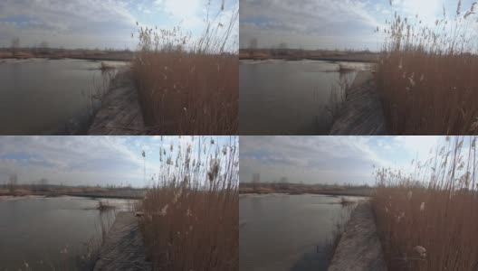 池塘污泥与灰高清在线视频素材下载