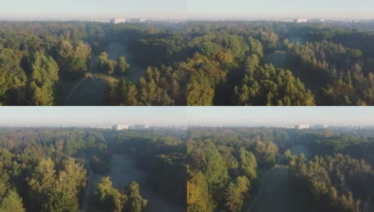 老公园在微微雾蒙蒙的秋日清晨，鸟瞰高清在线视频素材下载