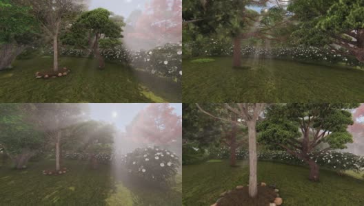 日本花园，阳光穿透树木高清在线视频素材下载