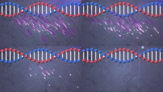 数字动画的dna结构旋转在灰色背景上的紫色光迹高清在线视频素材下载