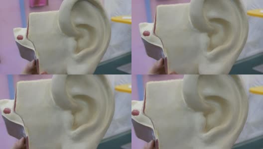 人耳解剖结构的玩具模型。人类听觉器官的人造模型高清在线视频素材下载