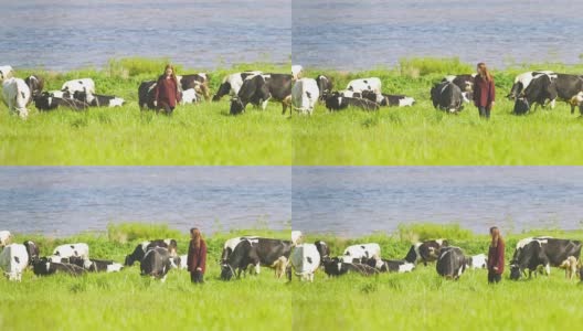 在阳光明媚的日子里，一个年轻女子在牧场上牵着牛走高清在线视频素材下载