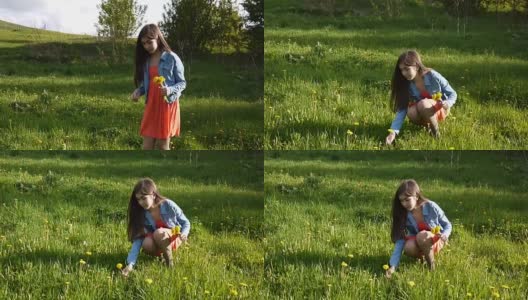 女孩在草地上采摘黄色的蒲公英。蒲公英。春季的一天。美丽的微笑少年在春天的公园与鲜花。视频拍摄运动相机与稳定器高清在线视频素材下载