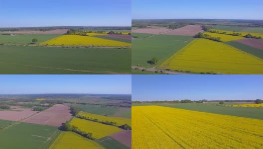 耕地和油菜籽田附近的鸟瞰图在地区Lüchow-Dannenberg在下萨克森州-德国高清在线视频素材下载