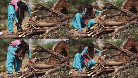 农村妇女砍伐树木高清在线视频素材下载