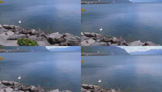 风景的蒙特勒堤岸与日内瓦湖和瑞士阿尔卑斯山高清在线视频素材下载