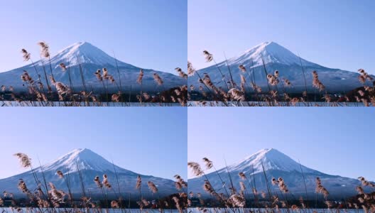 蓝天下的冬季富士山景观高清在线视频素材下载