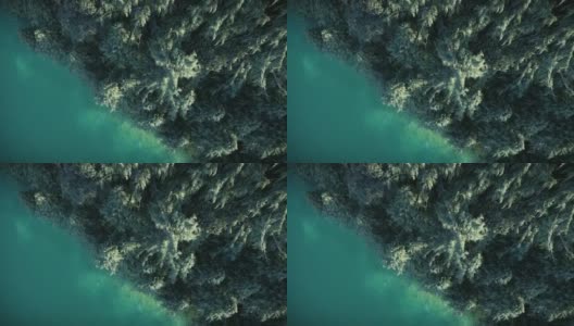 3D动画视频概述湖岸边风景高清在线视频素材下载