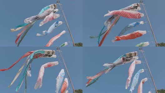 日本鲤鱼横幅高清在线视频素材下载
